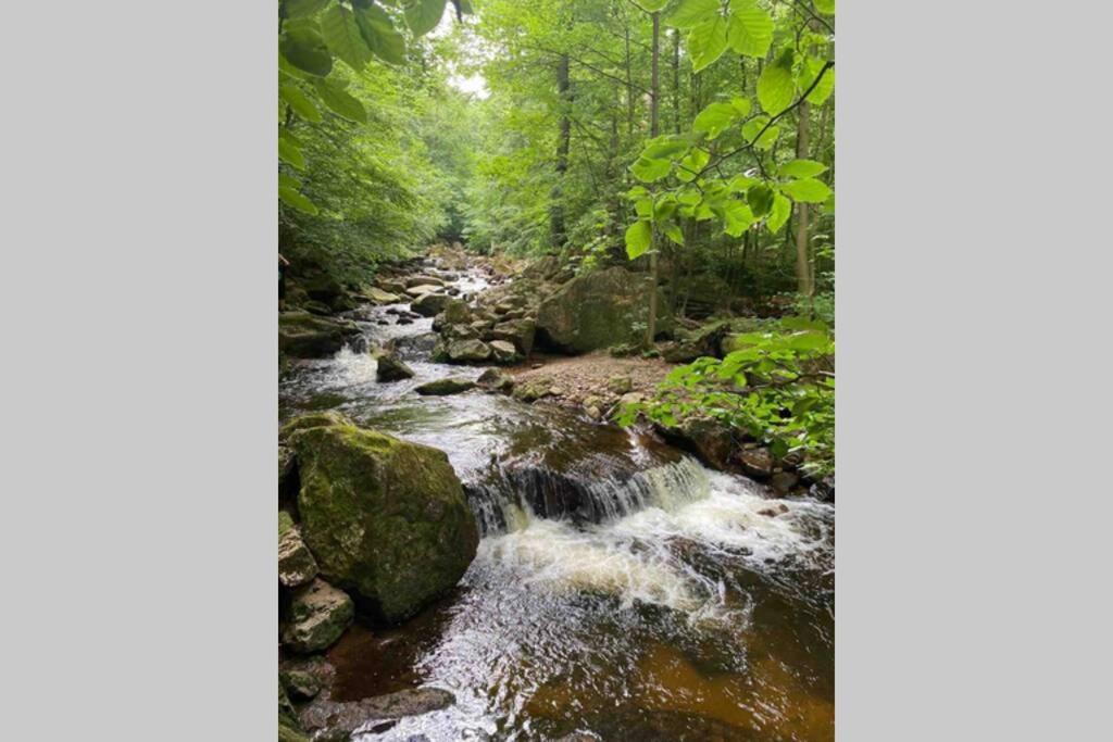 Schoenes Ruhiges App Mit Panoramablick Auf Den Harz Braunlage Exterior photo